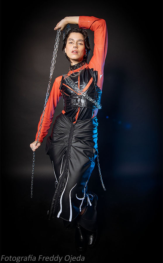 Desarrollo de Colecciones MATÍAS HERNÁN