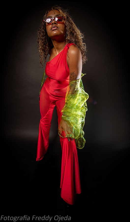 Desarrollo de Colecciones MATÍAS HERNÁN