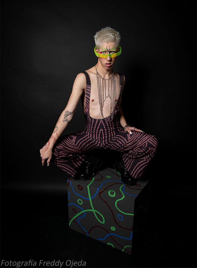 Desarrollo de Colecciones MATÍAS HERNÁN