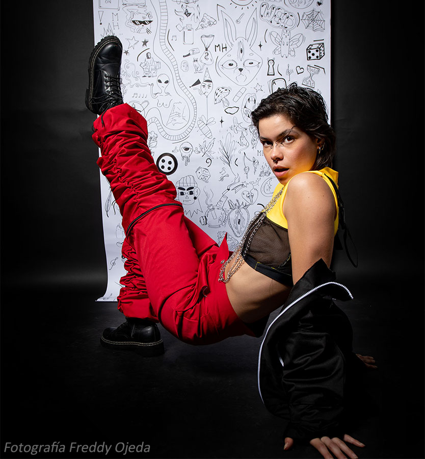 Desarrollo de Colecciones MATÍAS HERNÁN