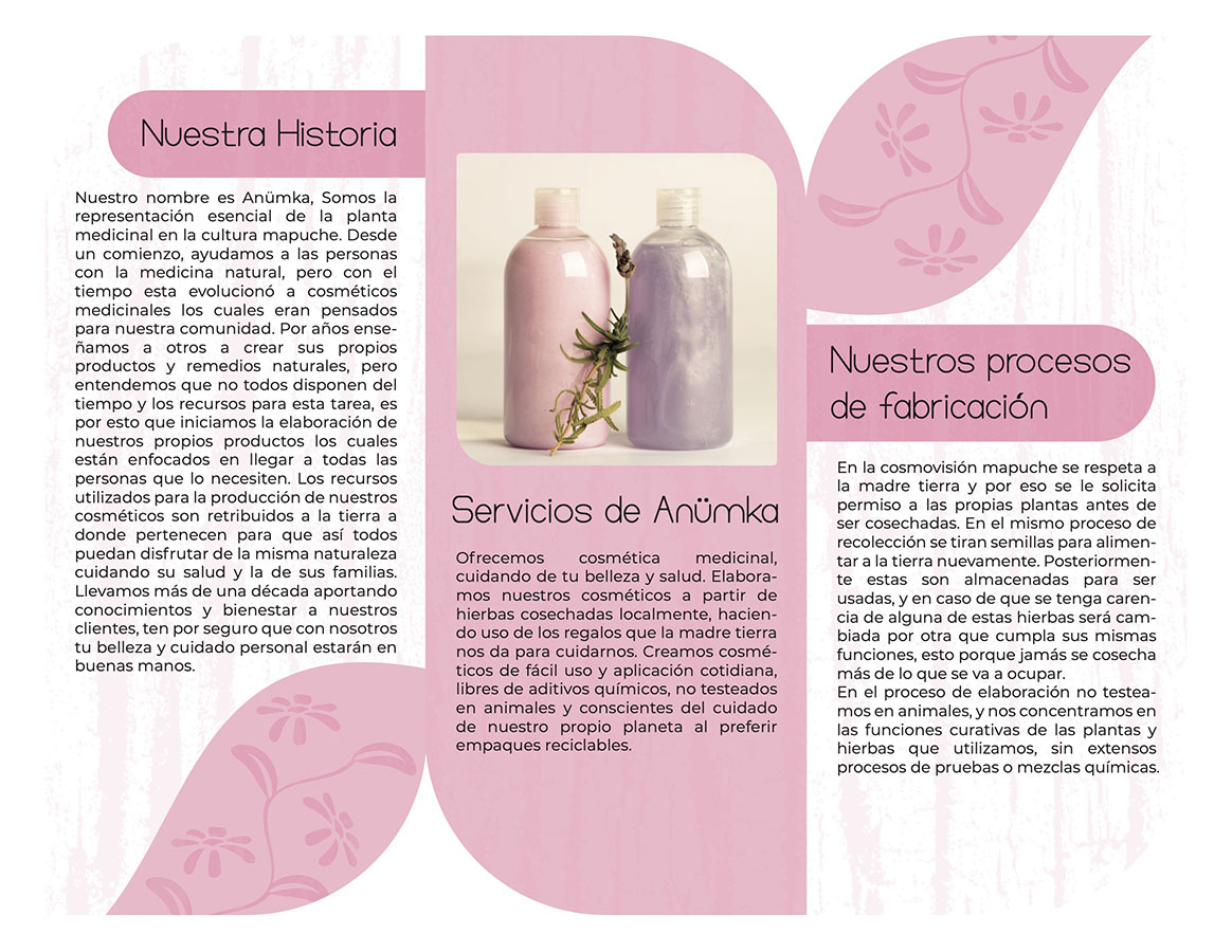 PROYECTO PROFESIONAL – Trabajo Colaborativo con Clientes Reales Autogestionados