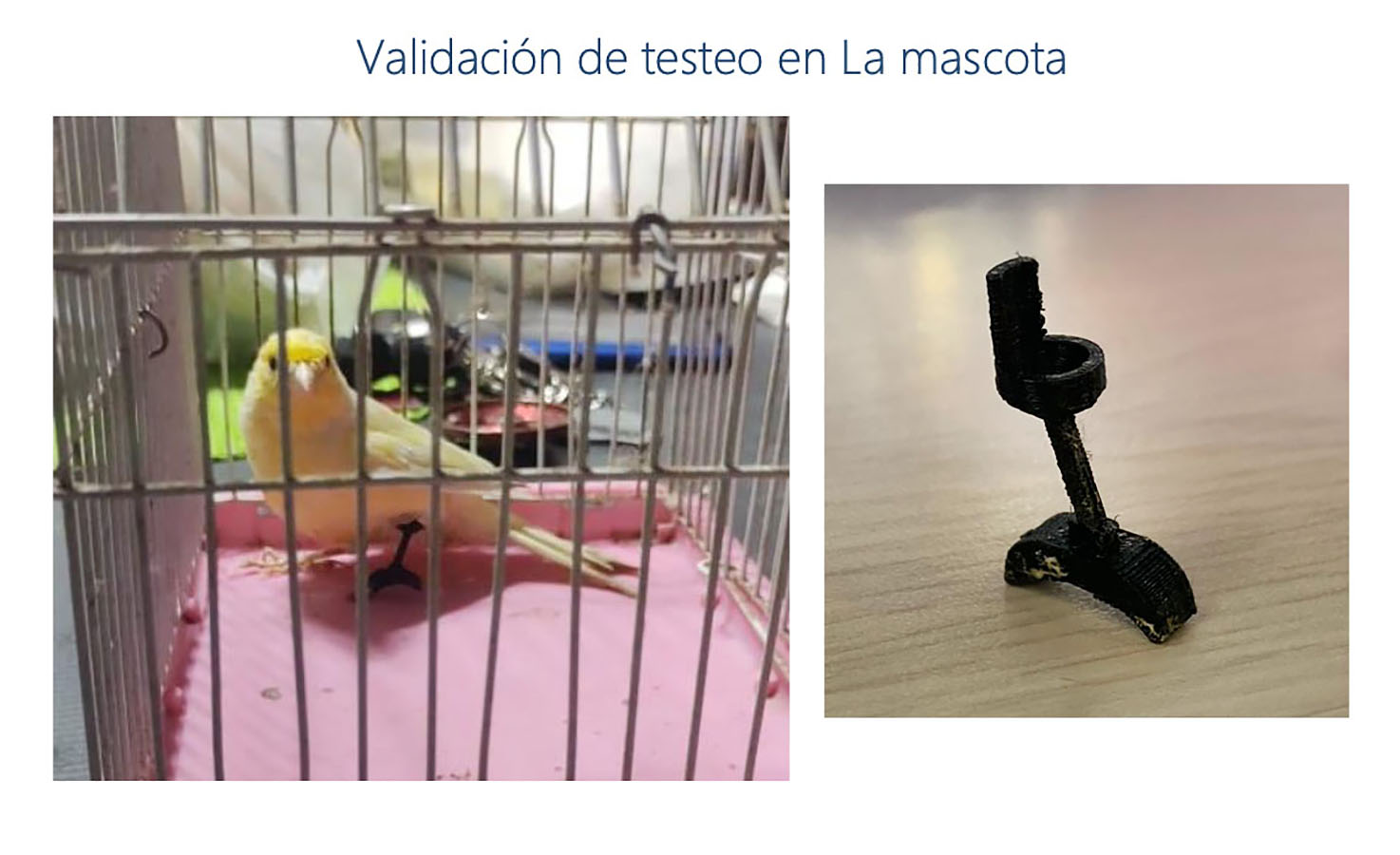Órtesis y Prótesis para Mascotas Tecnologías Industria 4.0