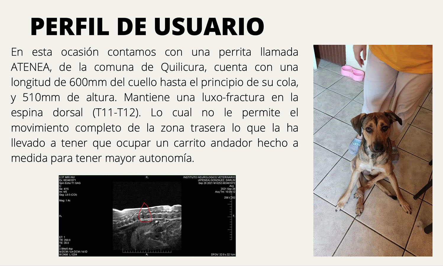 Órtesis y Prótesis para Mascotas Tecnologías Industria 4.0