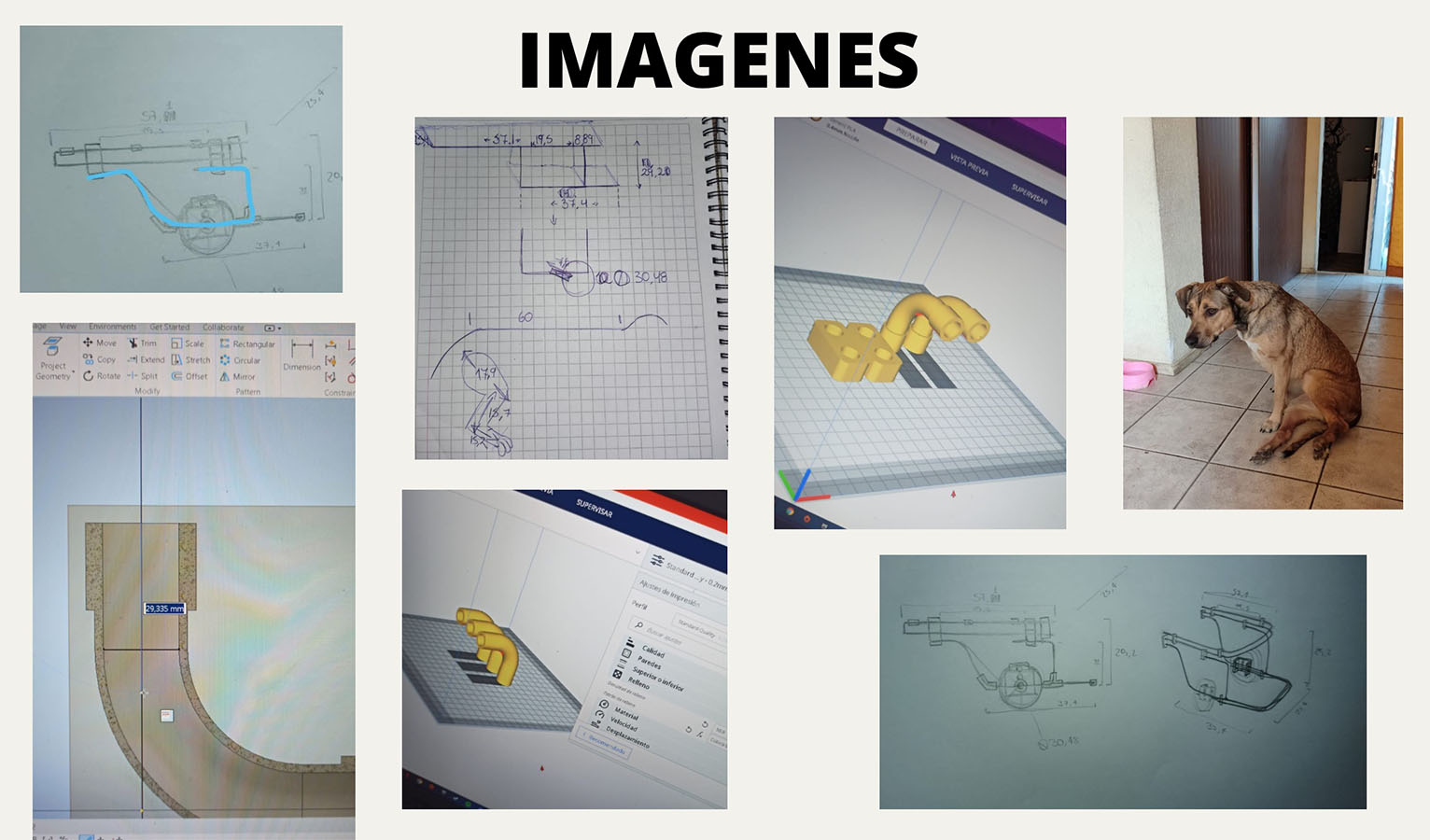 Órtesis y Prótesis para Mascotas Tecnologías Industria 4.0