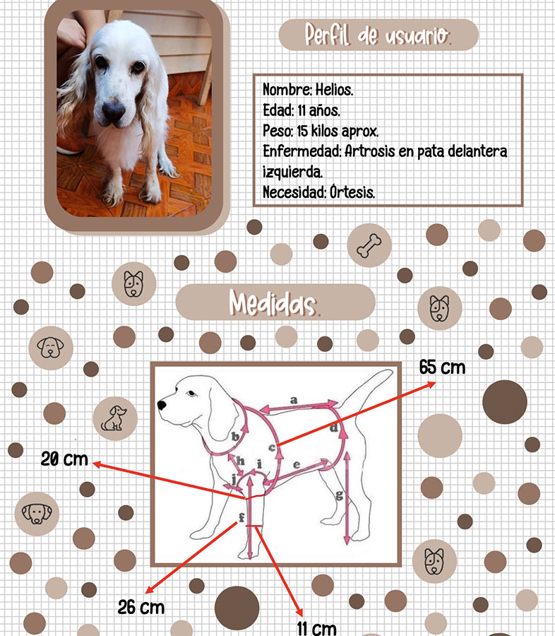 Órtesis y Prótesis para Mascotas Tecnologías Industria 4.0