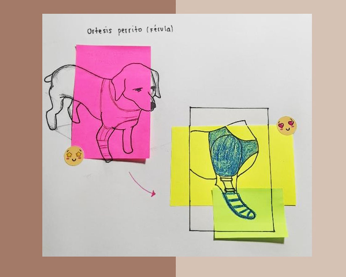 Órtesis y Prótesis para Mascotas Tecnologías Industria 4.0