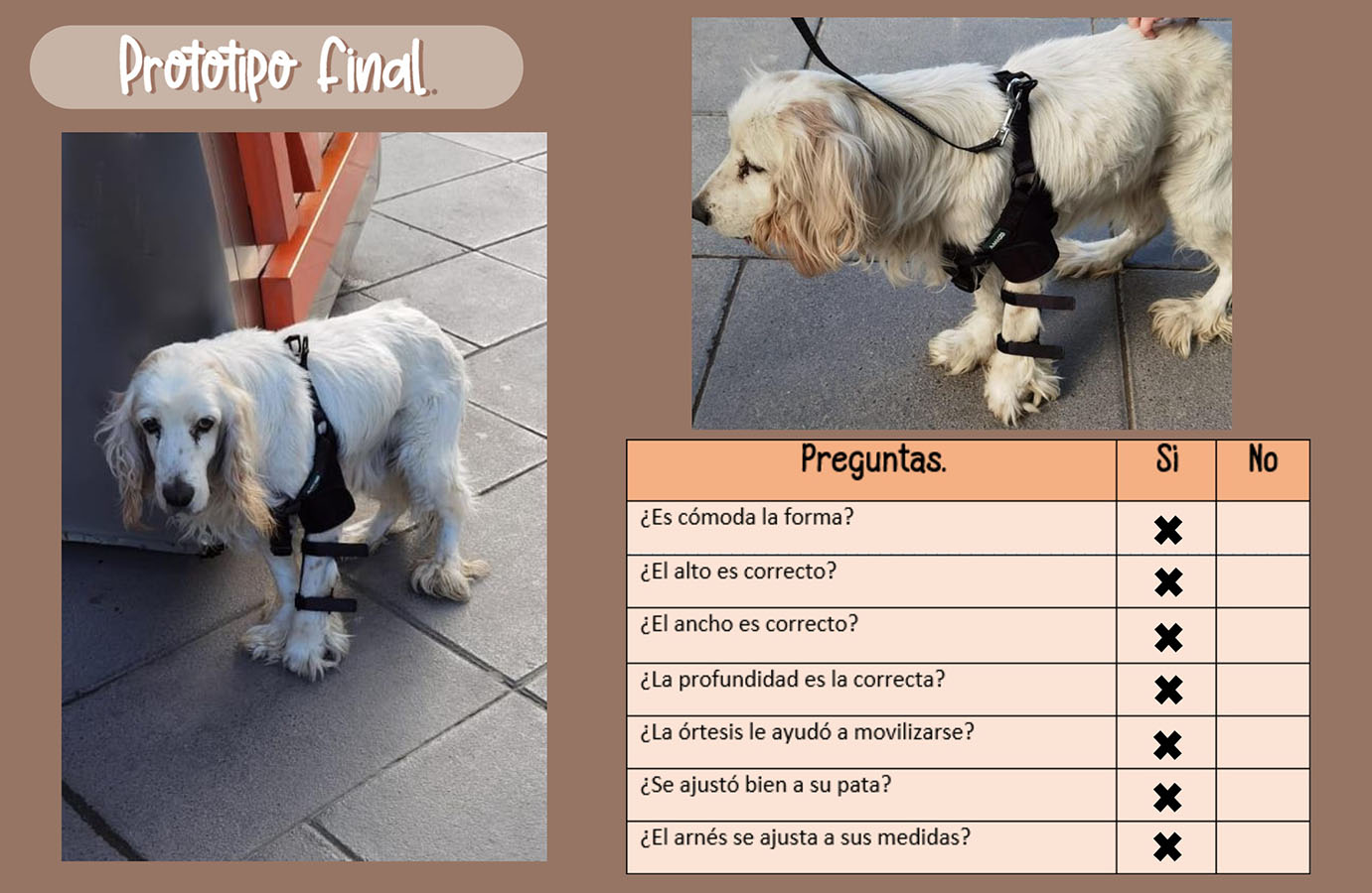 Órtesis y Prótesis para Mascotas Tecnologías Industria 4.0