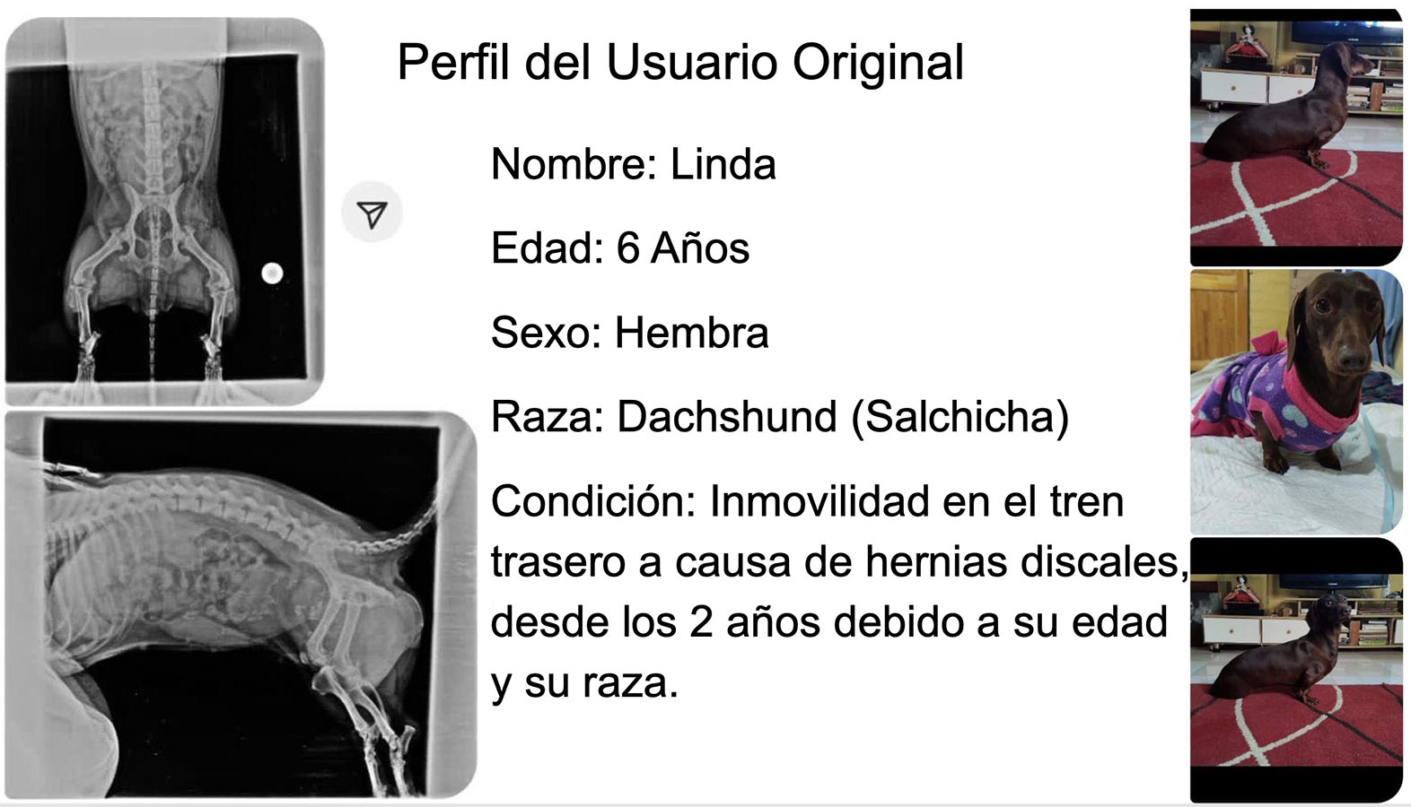Órtesis y Prótesis para Mascotas Tecnologías Industria 4.0