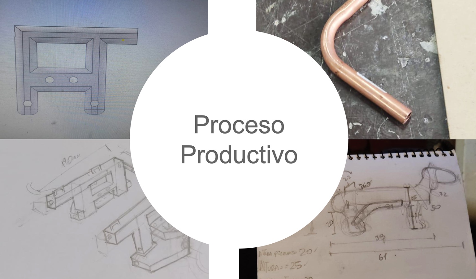 Órtesis y Prótesis para Mascotas Tecnologías Industria 4.0