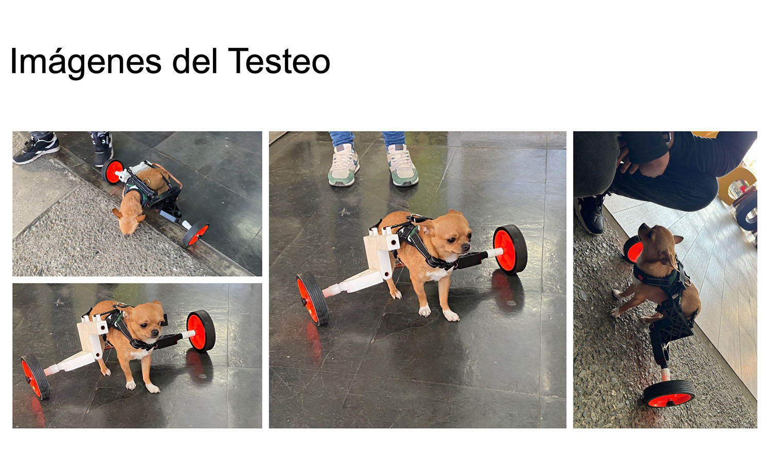 Órtesis y Prótesis para Mascotas Tecnologías Industria 4.0