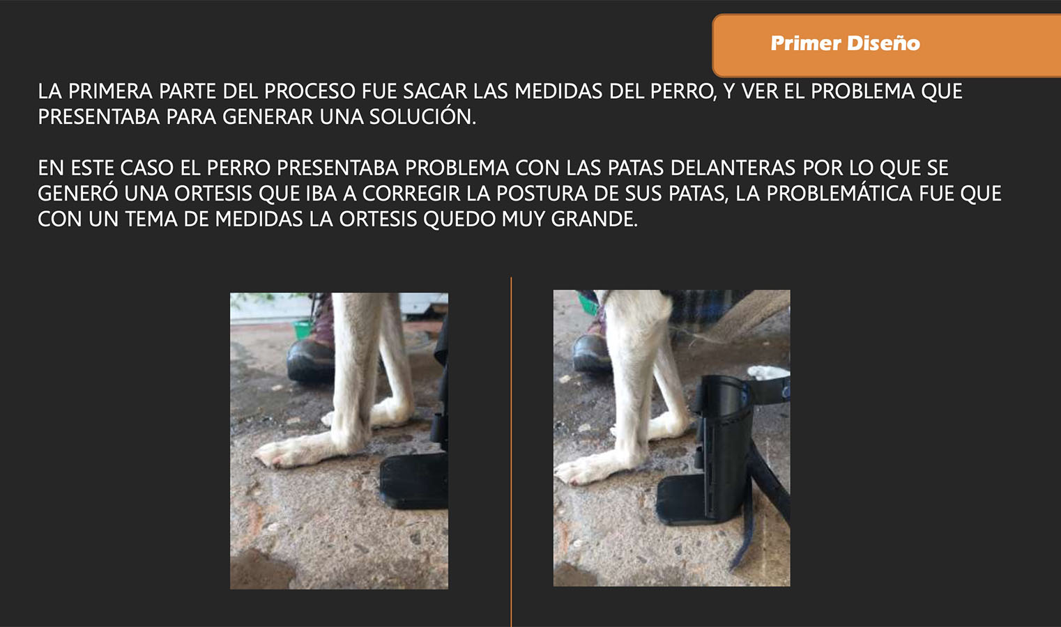 Órtesis y Prótesis para Mascotas Tecnologías Industria 4.0