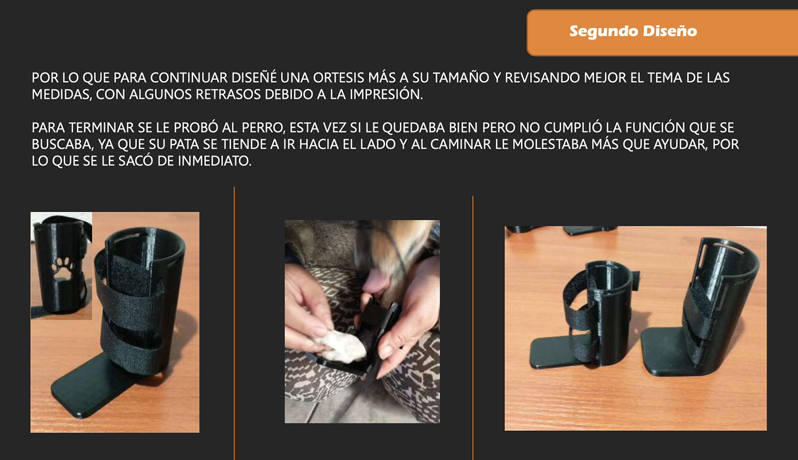 Órtesis y Prótesis para Mascotas Tecnologías Industria 4.0