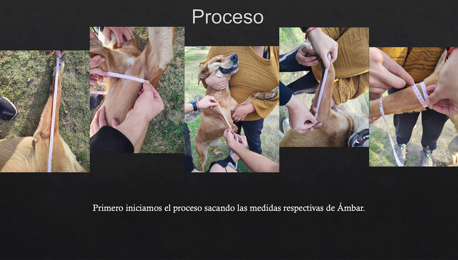 Órtesis y Prótesis para Mascotas Tecnologías Industria 4.0