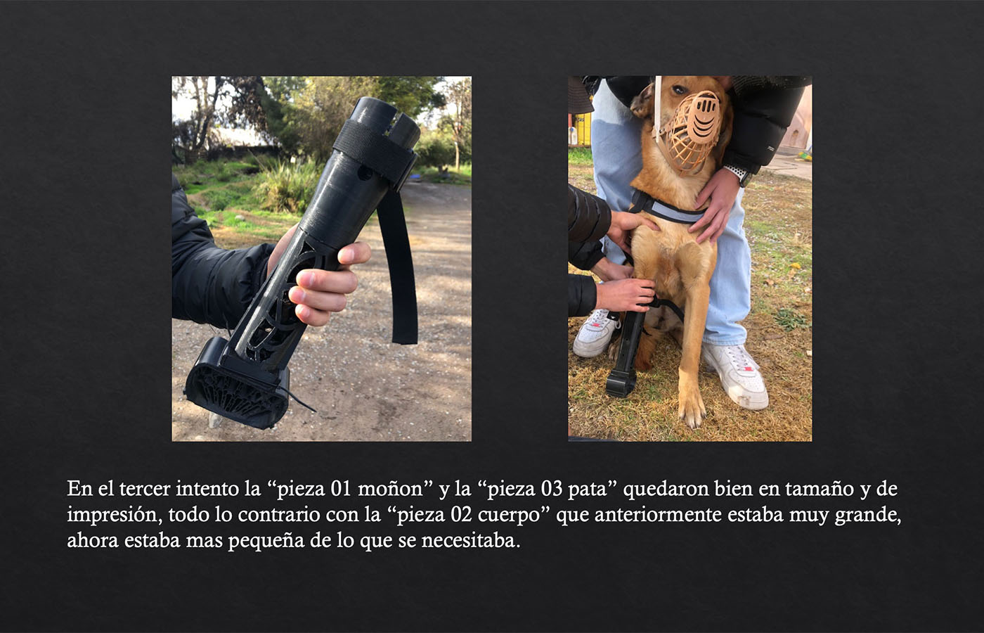 Órtesis y Prótesis para Mascotas Tecnologías Industria 4.0