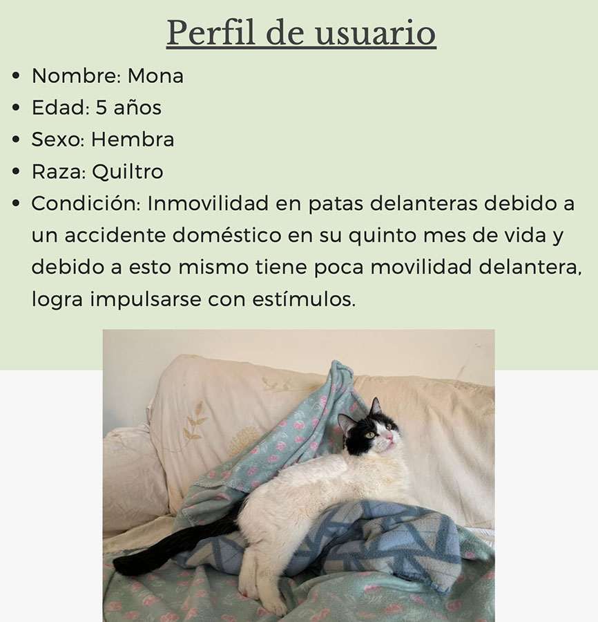 Órtesis y Prótesis para Mascotas Tecnologías Industria 4.0