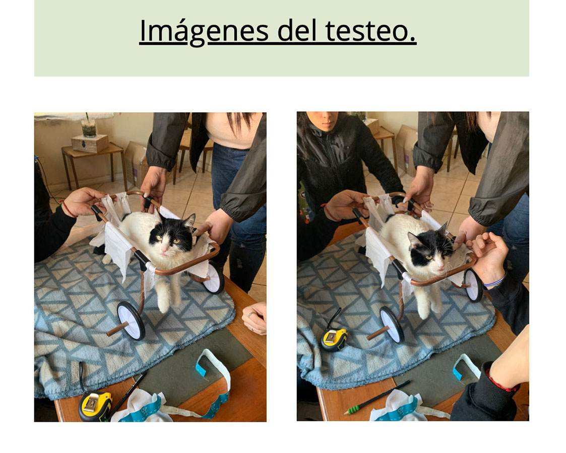 Órtesis y Prótesis para Mascotas Tecnologías Industria 4.0