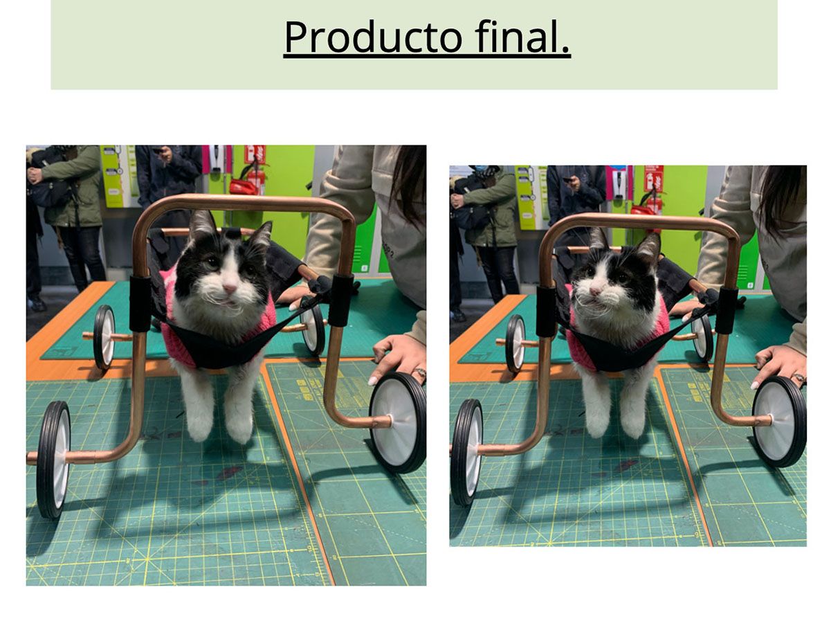 Órtesis y Prótesis para Mascotas Tecnologías Industria 4.0