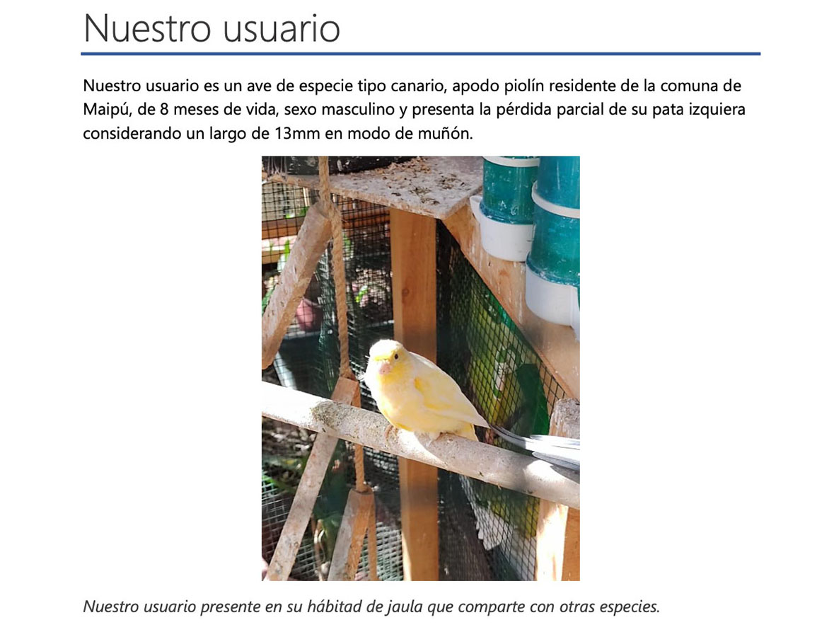 Órtesis y Prótesis para Mascotas Tecnologías Industria 4.0