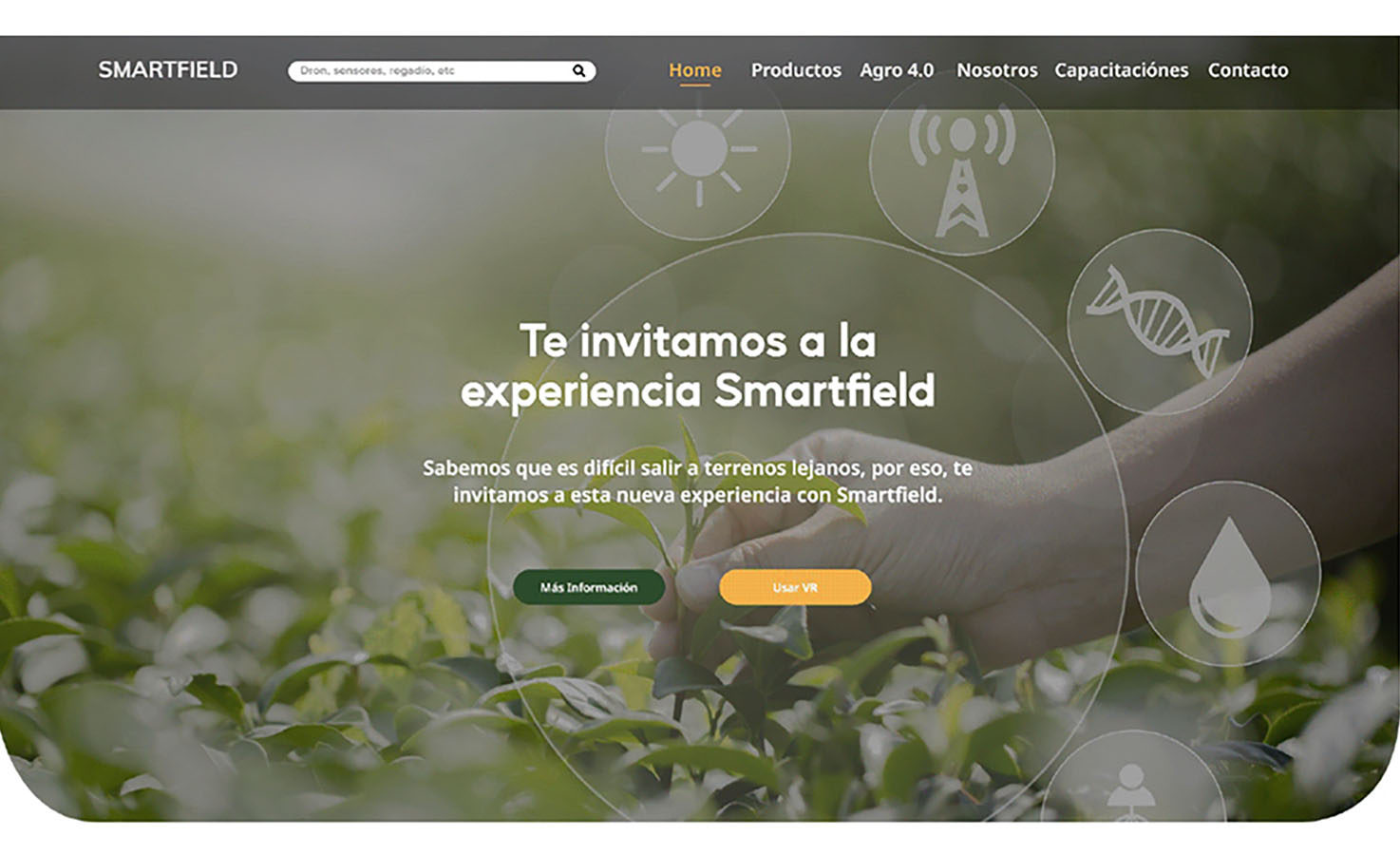 PROYECTO PROFESIONAL – Trabajo Colaborativo Con Clientes Reales Autogestionados