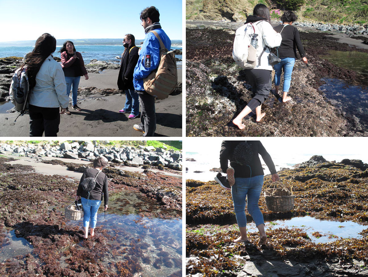 Indumentaria para Corporación Mujeres Pesca Artesanal