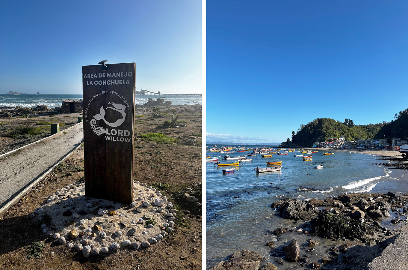Indumentaria para Corporación Mujeres Pesca Artesanal