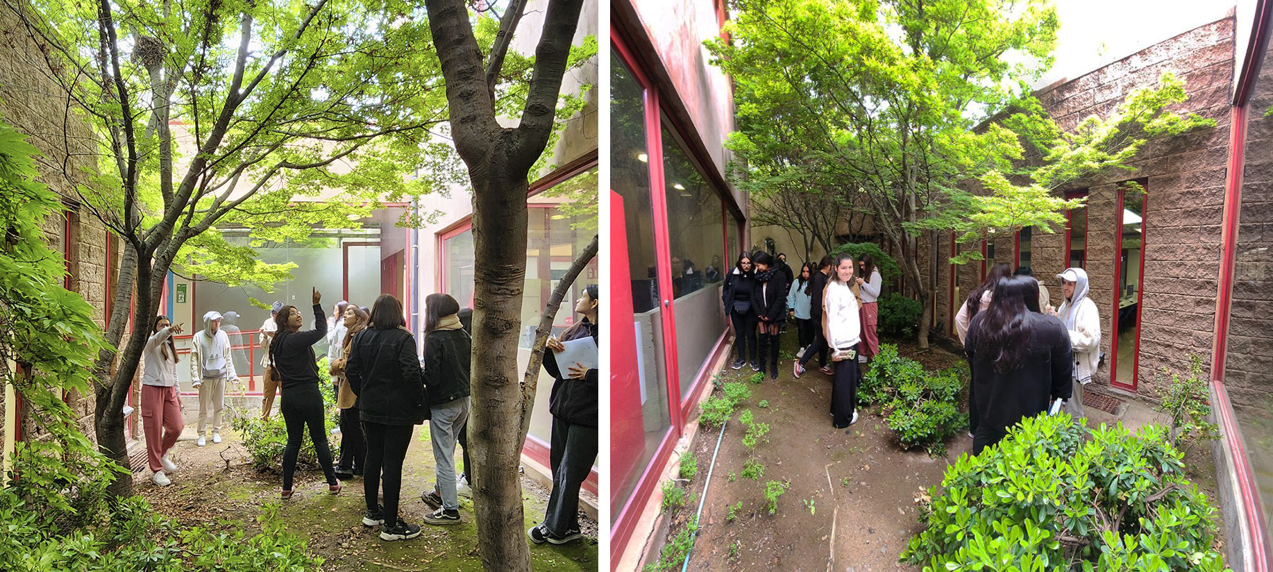 Jardín Interior Sede San Carlos de Apoquindo