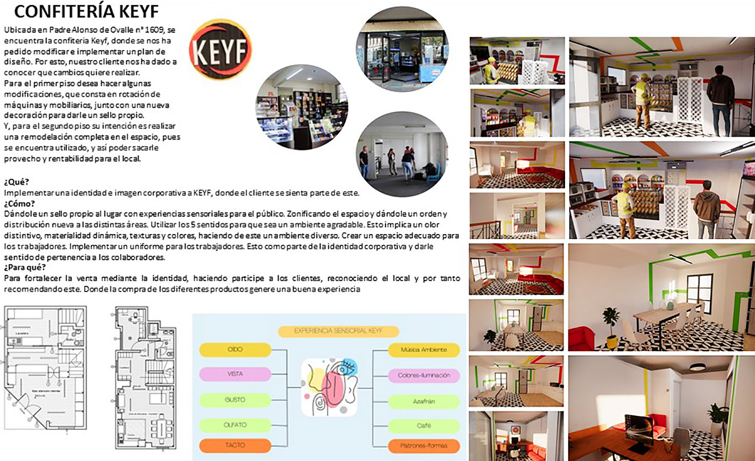 Propuestas para Dinámica y Funcionalidad de una Empresa