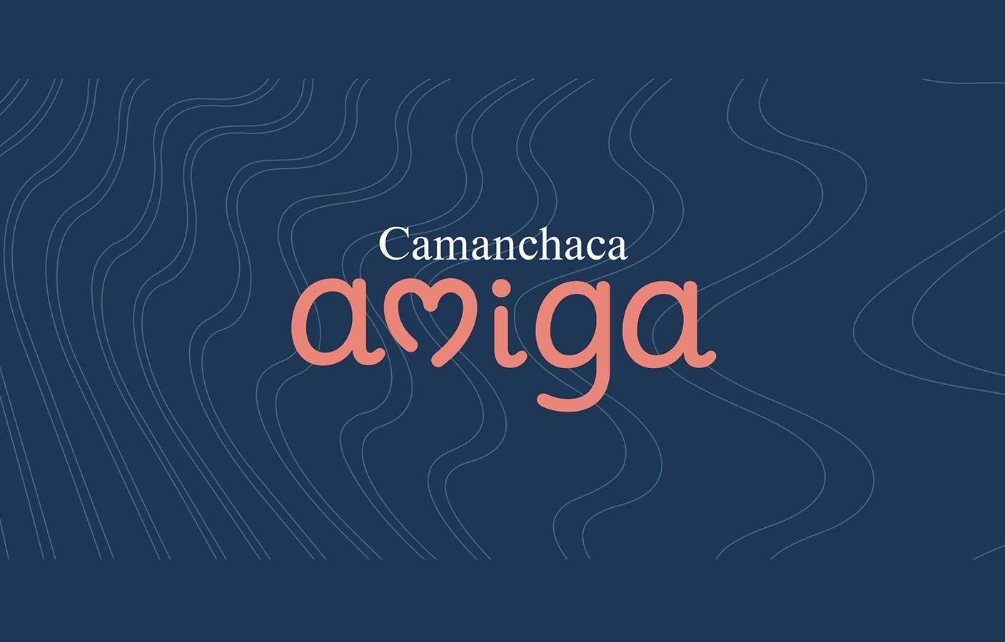 Rediseño Marca Gráfica «Camanchaca Amiga» + Packaging y Aplicaciones
