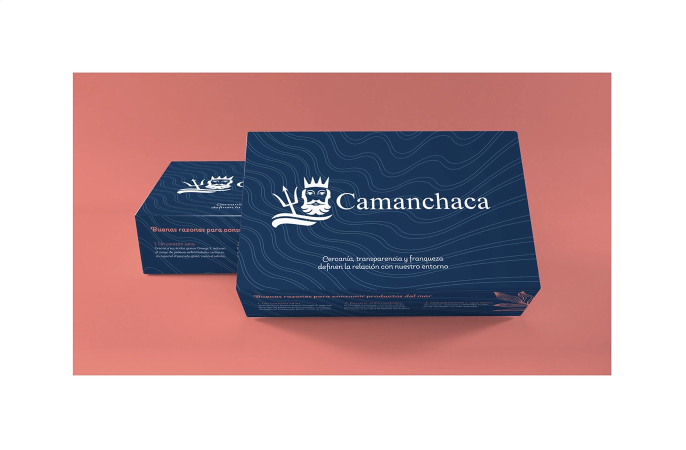 Rediseño Marca Gráfica «Camanchaca Amiga» + Packaging y Aplicaciones