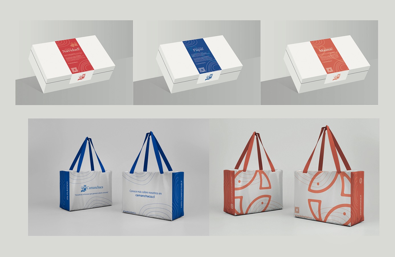 Rediseño Marca Gráfica «Camanchaca Amiga» + Packaging y Aplicaciones