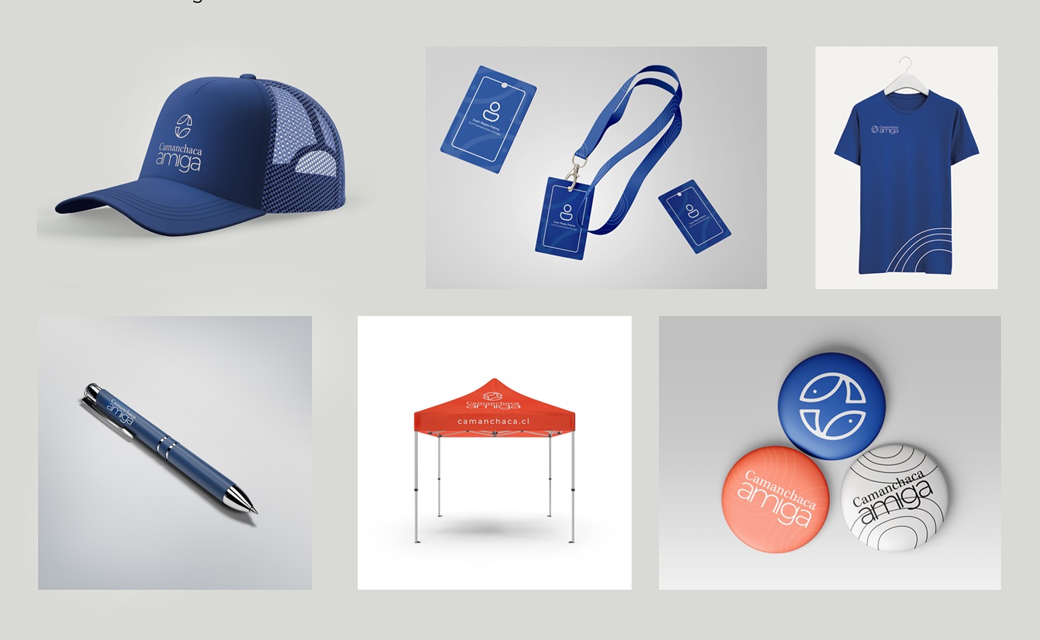 Rediseño Marca Gráfica «Camanchaca Amiga» + Packaging y Aplicaciones