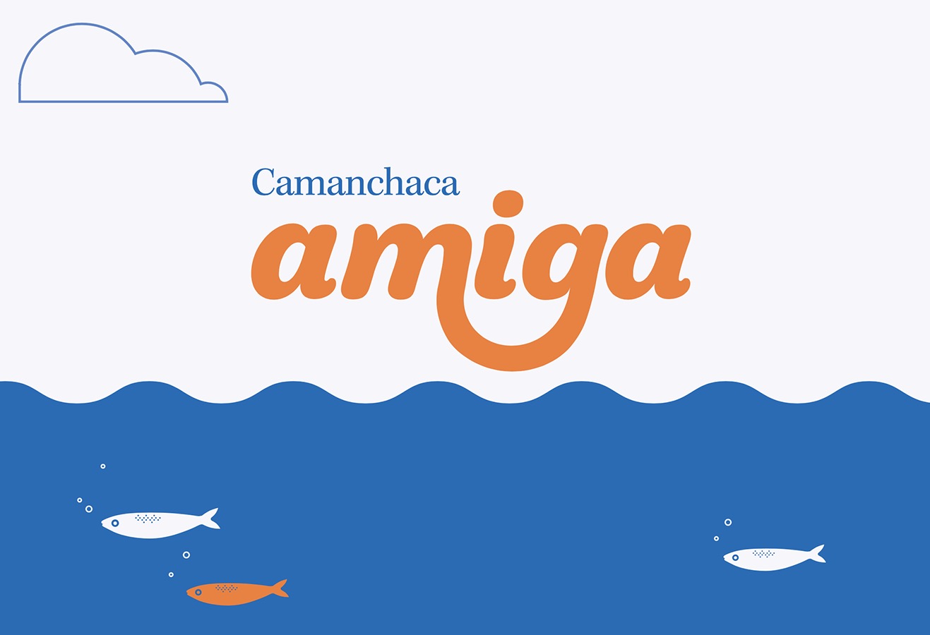 Rediseño Marca Gráfica «Camanchaca Amiga» + Packaging y Aplicaciones