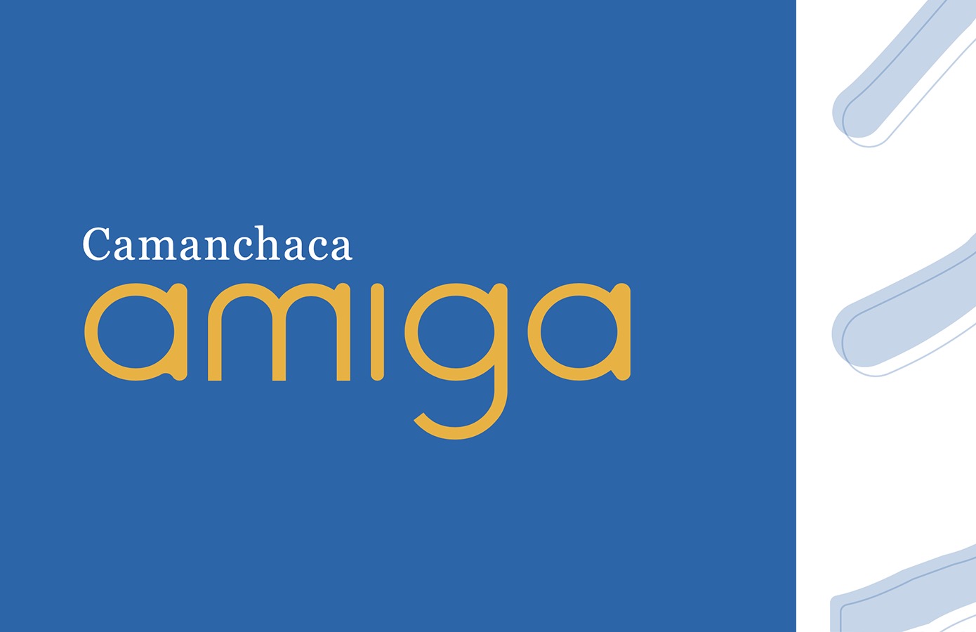 Rediseño Marca Gráfica «Camanchaca Amiga» + Packaging y Aplicaciones