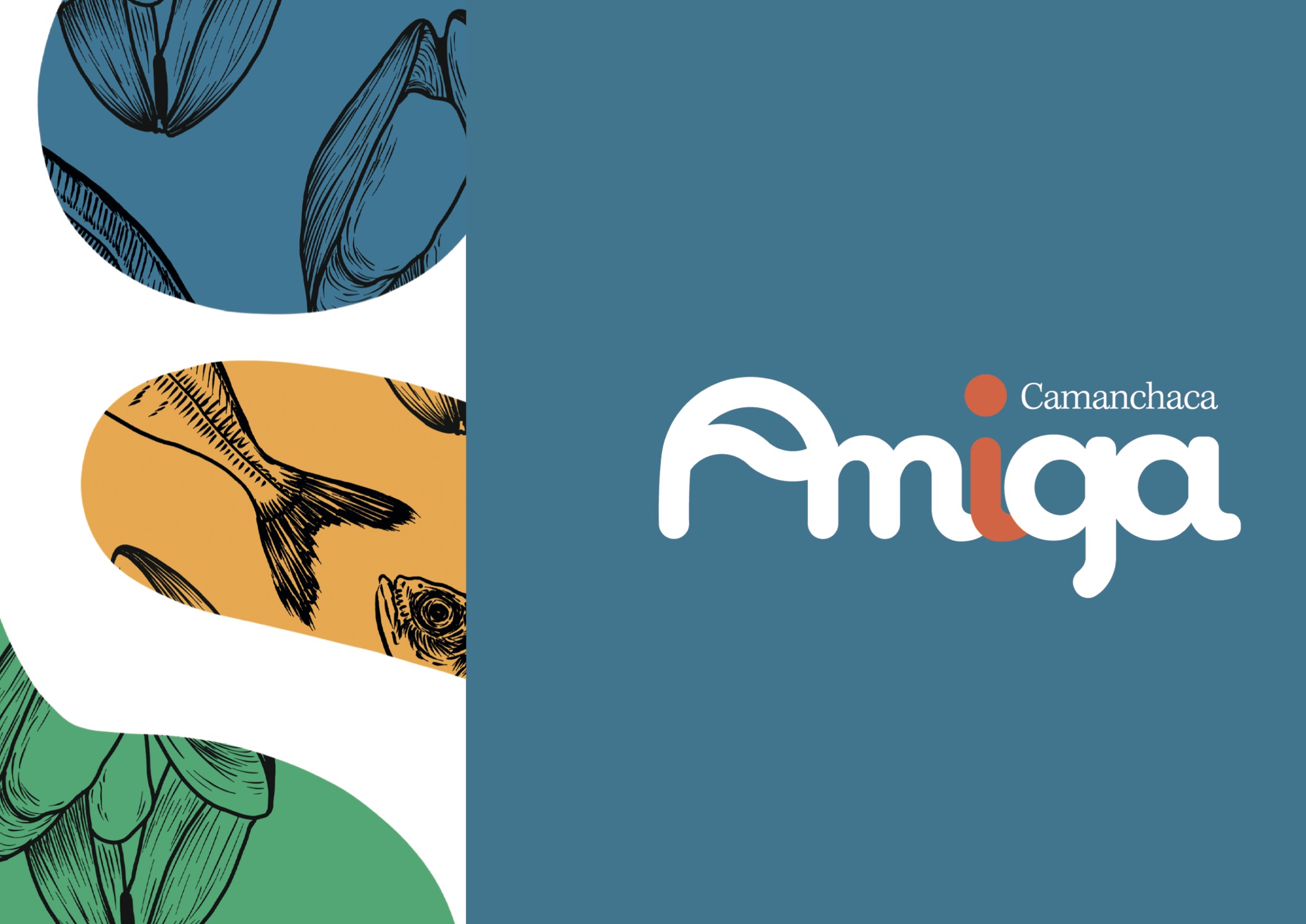 Rediseño Marca Gráfica «Camanchaca Amiga» + Packaging y Aplicaciones