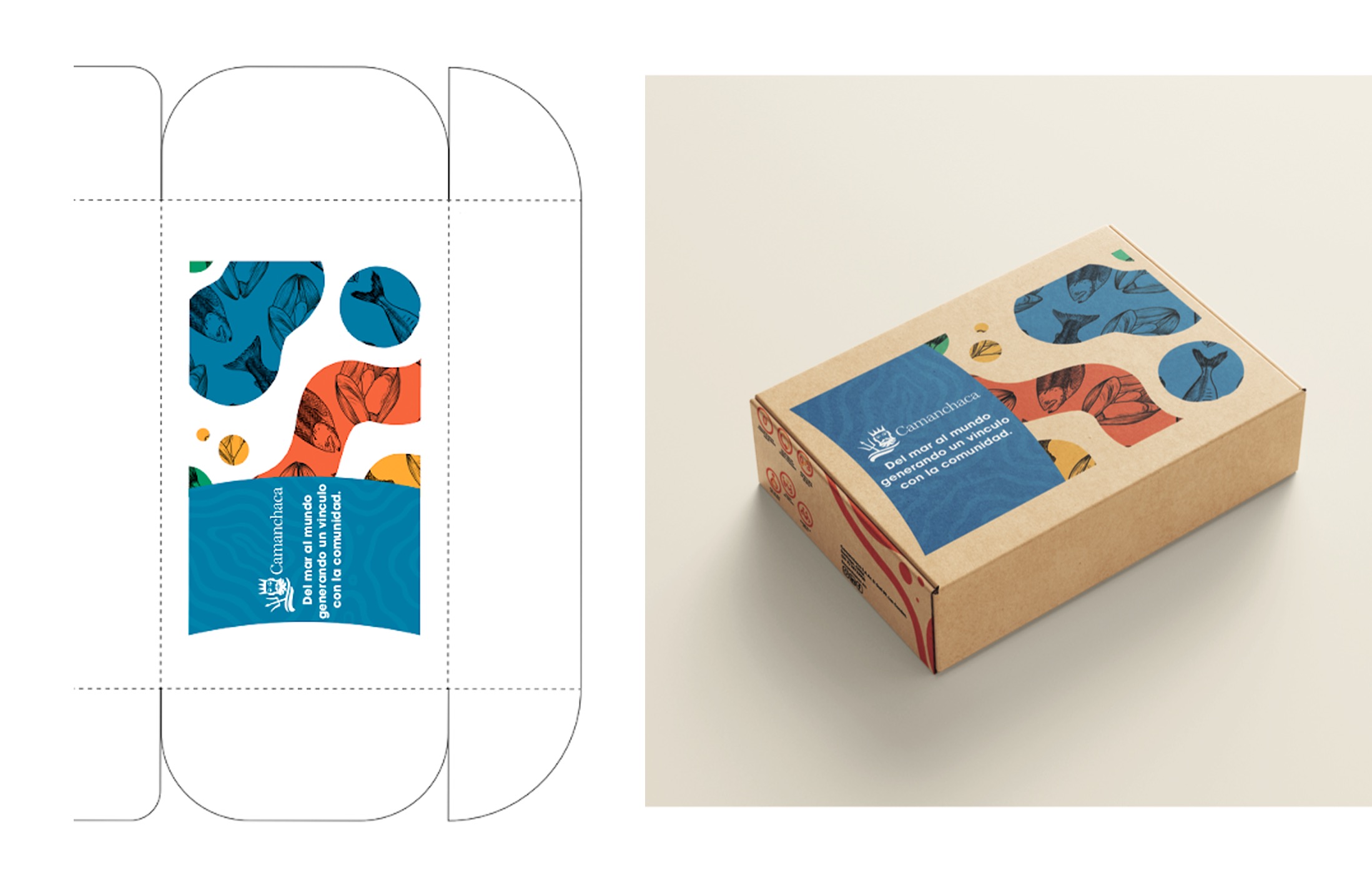 Rediseño Marca Gráfica «Camanchaca Amiga» + Packaging y Aplicaciones