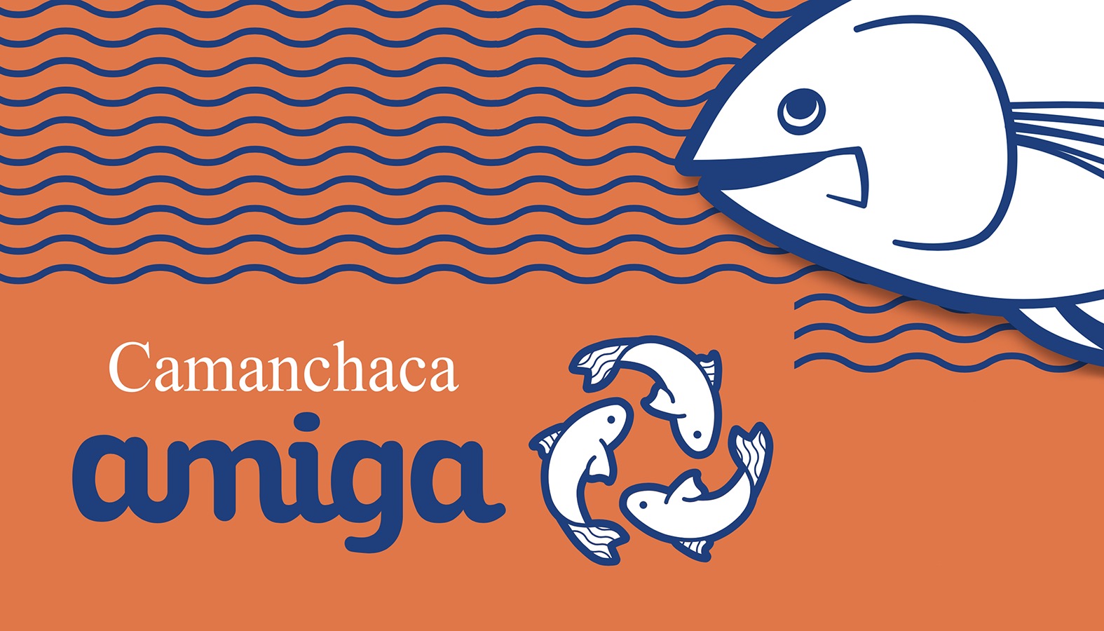Rediseño Marca Gráfica «Camanchaca Amiga» + Packaging y Aplicaciones