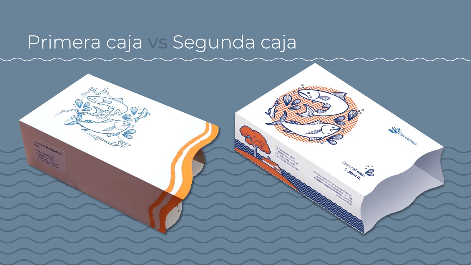 Rediseño Marca Gráfica «Camanchaca Amiga» + Packaging y Aplicaciones