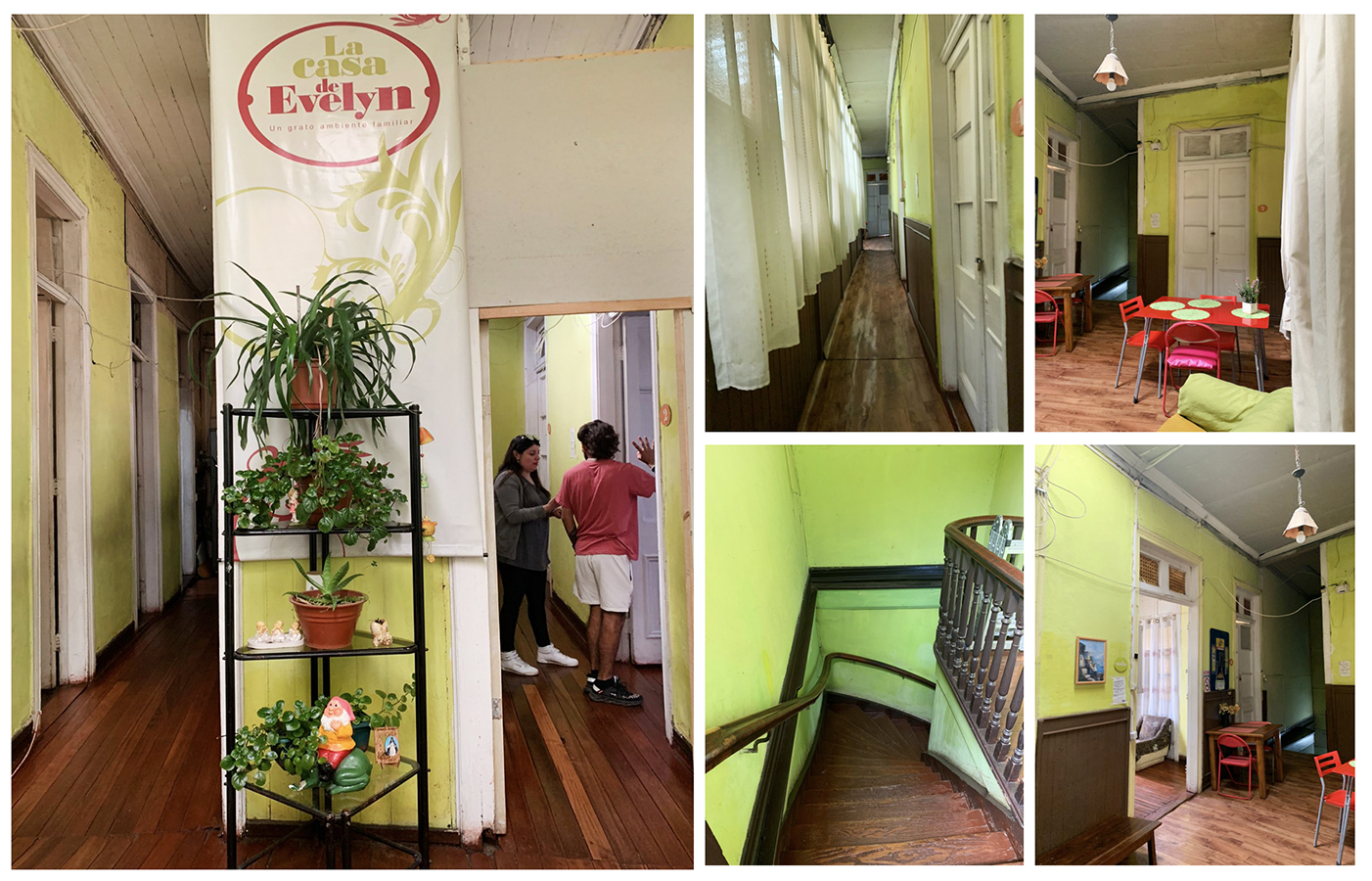 PROYECTO PROFESIONAL / Microemprendedores del Turismo