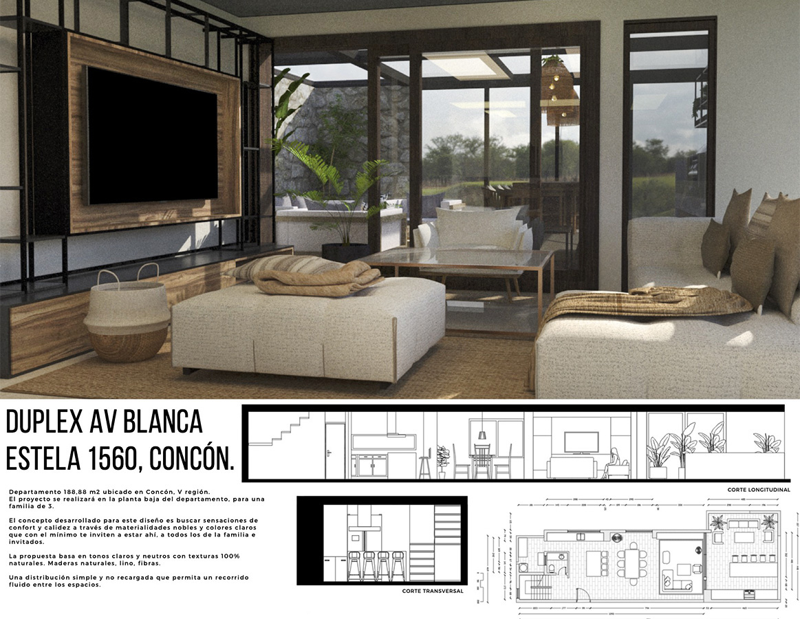 PROYECTO PROFESIONAL / Propuestas Diseño de Ambientes