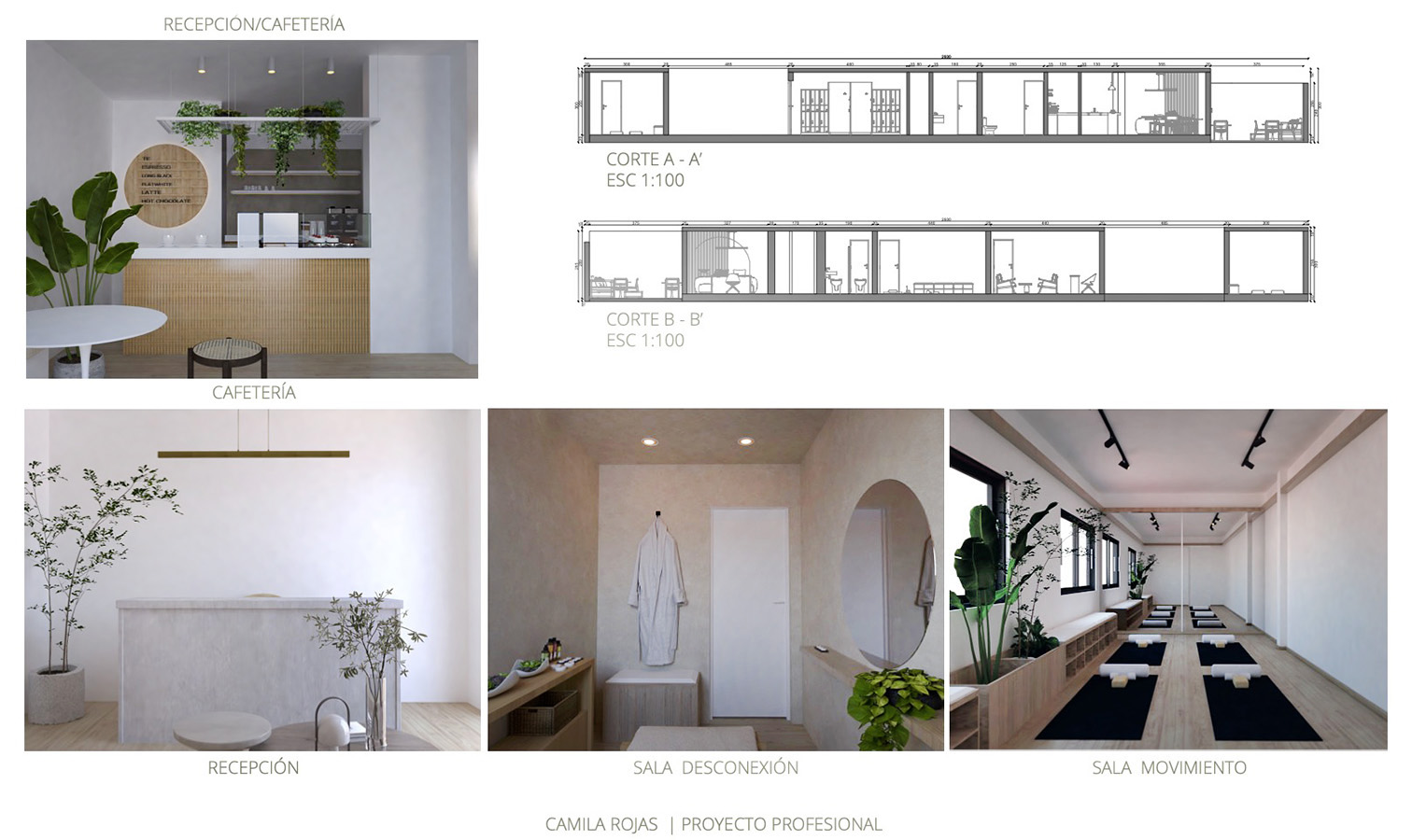 PROYECTO PROFESIONAL / Propuestas Diseño de Ambientes
