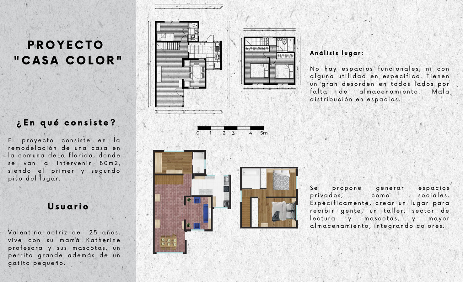 PROYECTO PROFESIONAL / Propuestas Diseño de Ambientes