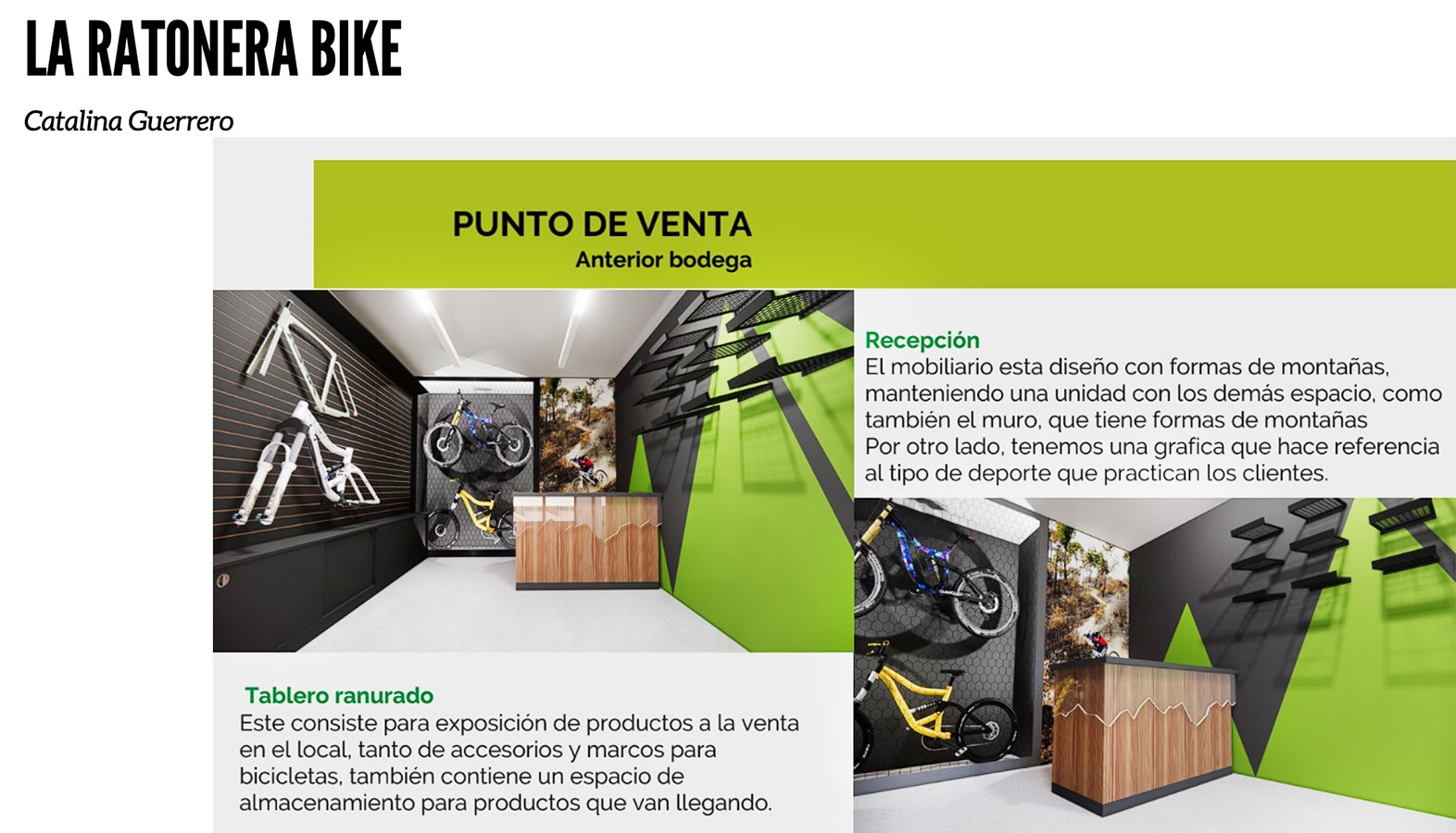 PROYECTO PROFESIONAL / Propuestas Diseño de Ambientes – PAO 1