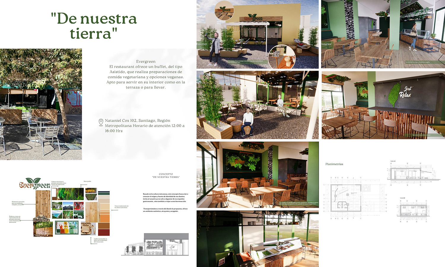 PROYECTO PROFESIONAL / Propuestas Diseño de Ambientes – PAO 2