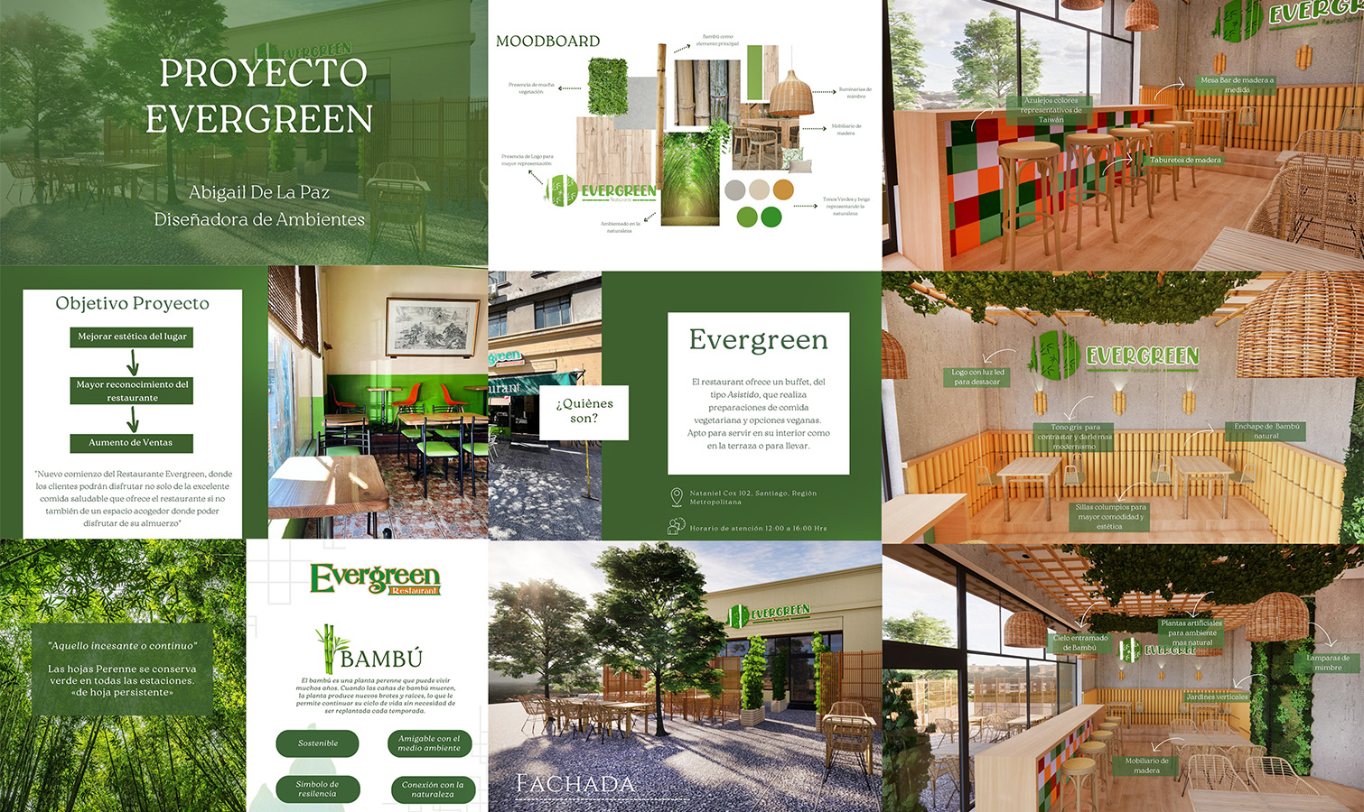 PROYECTO PROFESIONAL / Propuestas Diseño de Ambientes – PAO 2