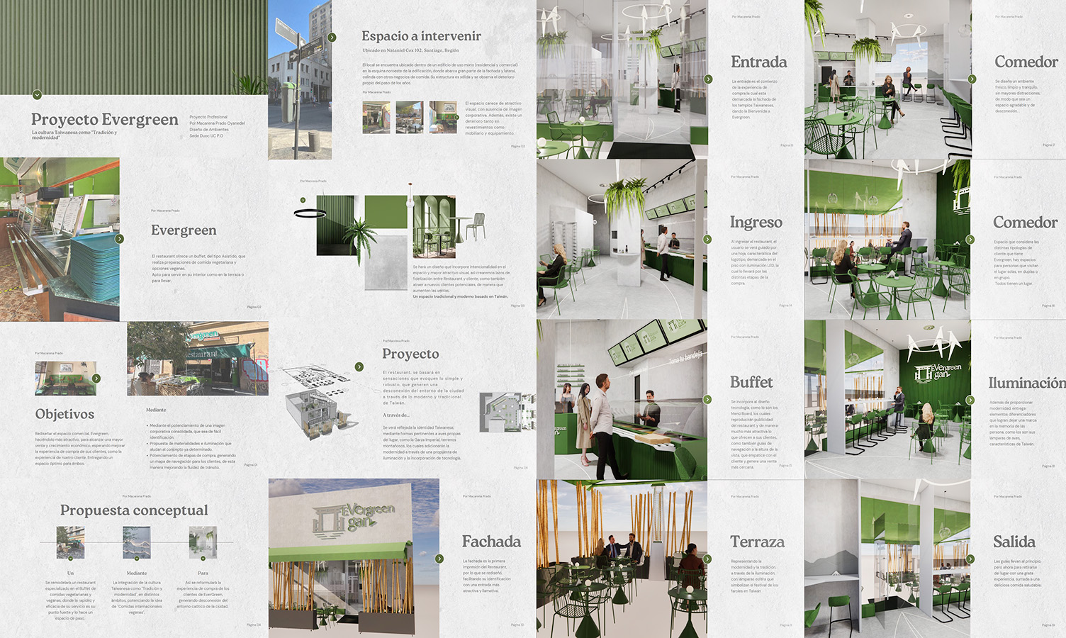 PROYECTO PROFESIONAL / Propuestas Diseño de Ambientes – PAO 2