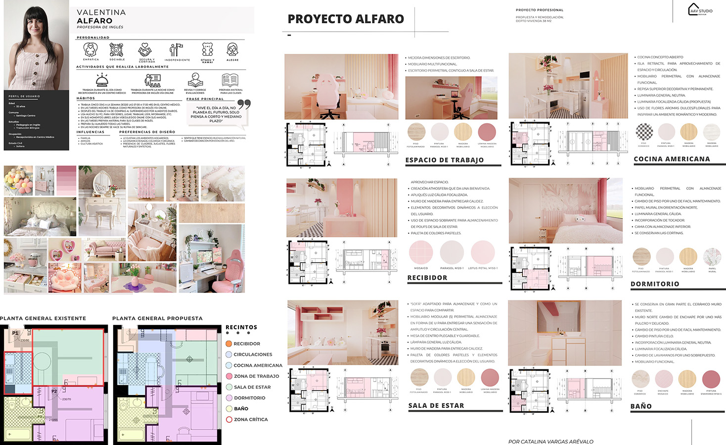 PROYECTO PROFESIONAL / Propuestas Diseño de Ambientes – PAO 2