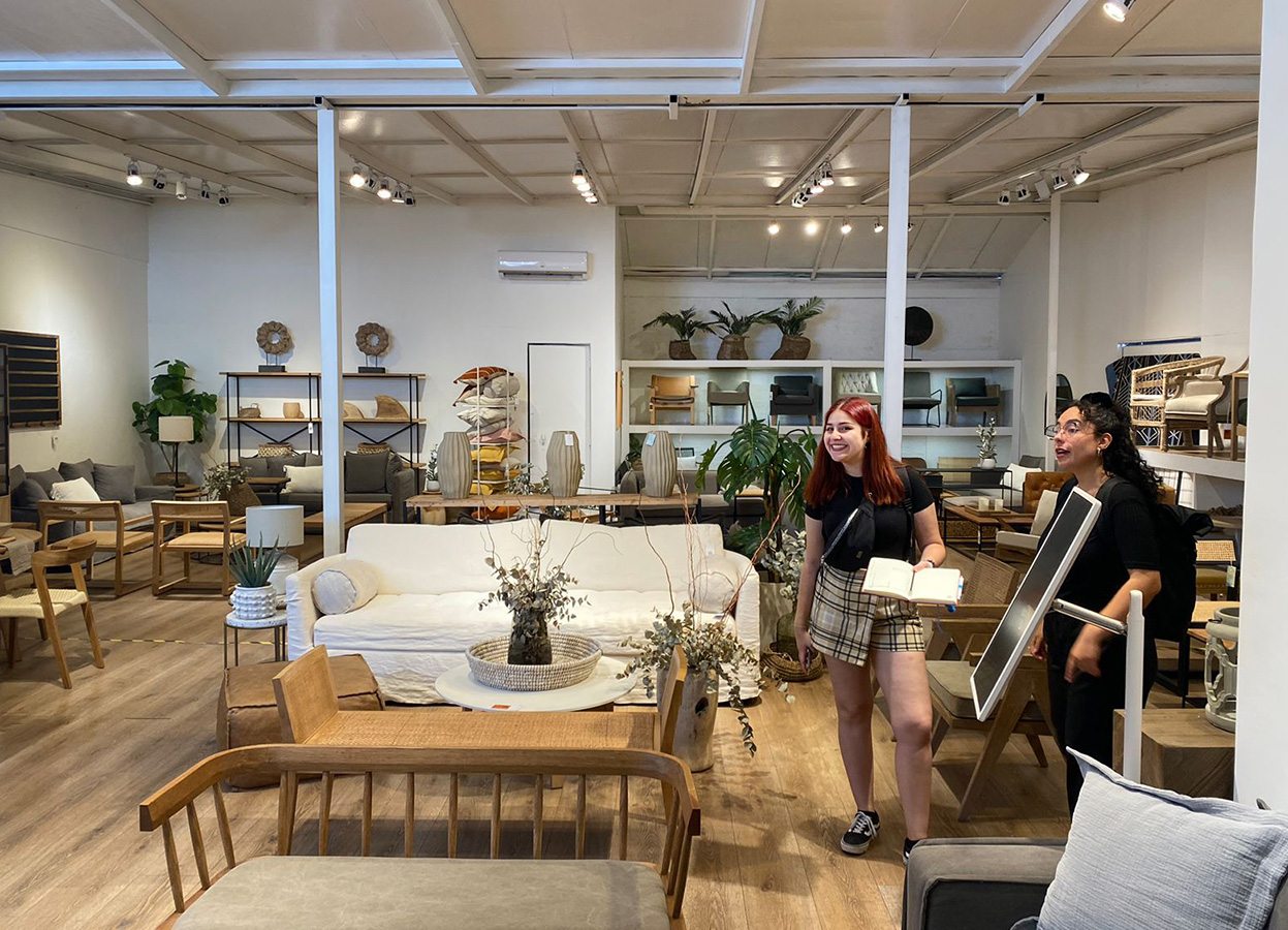 PROYECTO PROFESIONAL / Propuestas Diseño de Ambientes – PAO 2