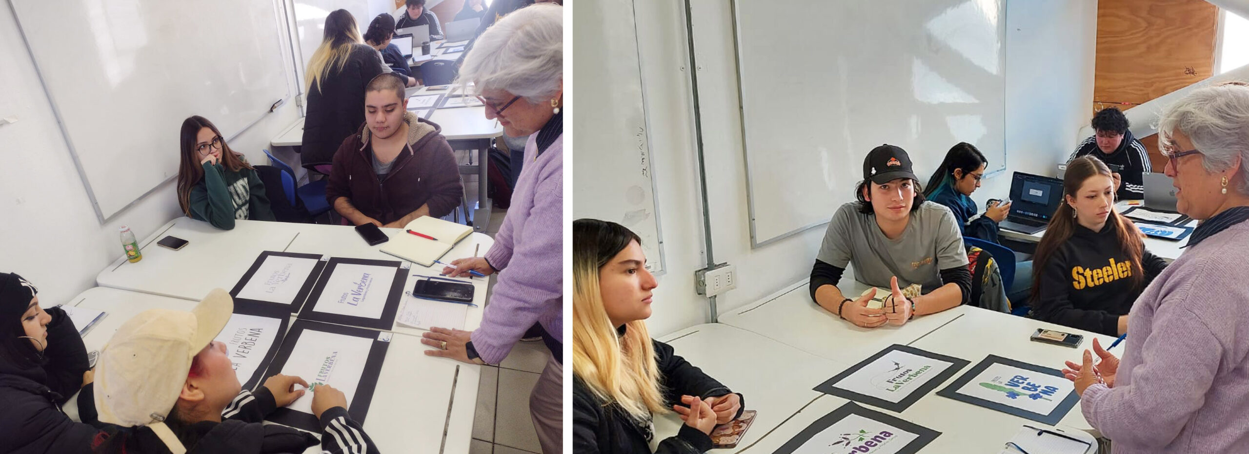 Imagen Corporativa y Packaging / MiPYMES