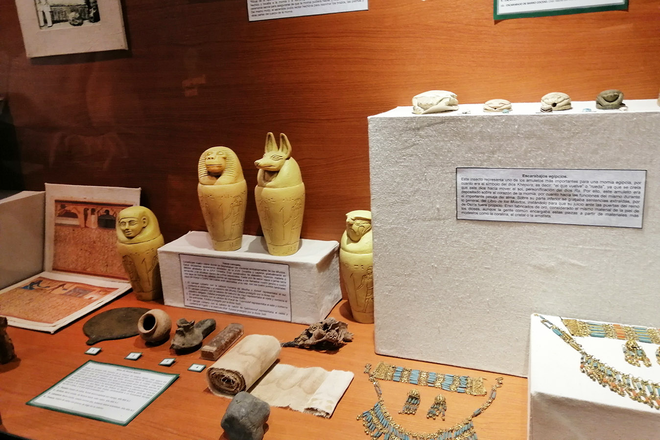 Pedro del Río Zañartu Recibe a Violeta Parra