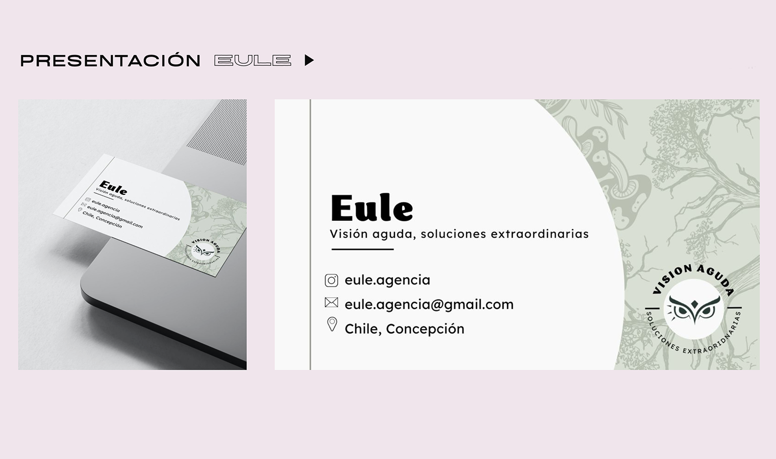 PROYECTO PROFESIONAL / Trabajo Colaborativo Con Clientes Reales Autogestionados